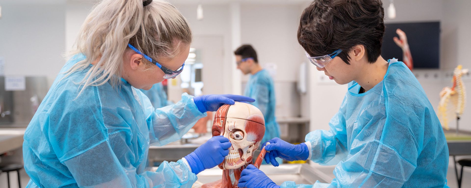 Law learning environment